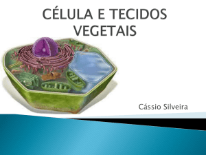 Célula e estrutura vegetal