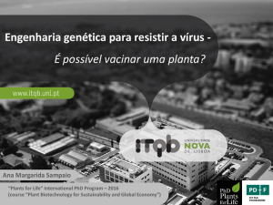 Vacinar plantas para resistir a virus
