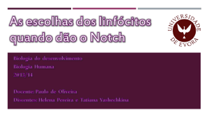 O que é o Notch? - Biologia do Desenvolvimento 2014