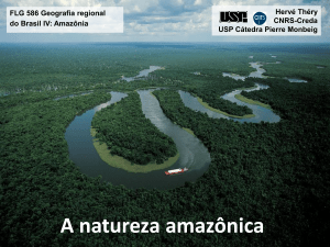 A natureza amazônica
