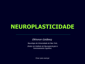 Neuroplasticidade