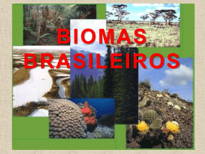 6 anos – Biomas Brasileiros