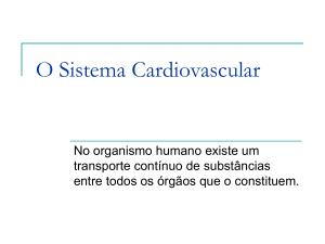 O Sistema Cardiovascular