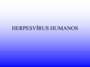 Aula 4 - Herpesvírus Humanos