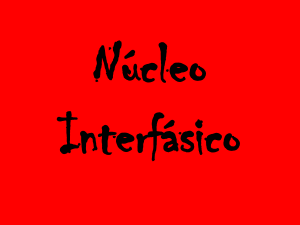 Nucleo_Interfasico