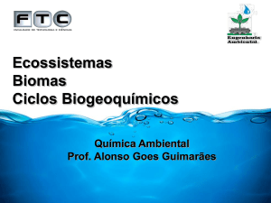 Slide 1 - Professor Alonso Goes Guimarães