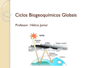 Ciclos Biogeoquímicos Globais - SOL