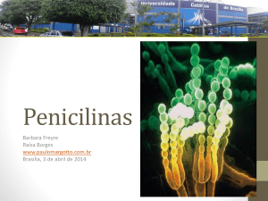 Penicilinas - Paulo Margotto