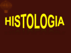 Histologia - WordPress.com