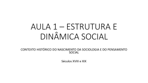 aula-1-e-2-estrutura-e-dinamica-social