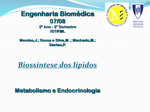 15º Tema - Biosíntese de Lípidos/finalll