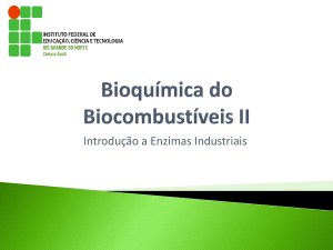 Capitulo 1b * Definição, tipos e gerações dos Biocombustíveis