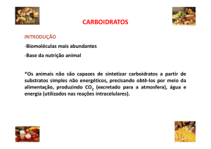 carboidratos