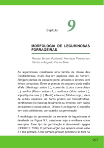 MORFOLOGIA DE LEGUMINOSAS FORRAGEIRAS