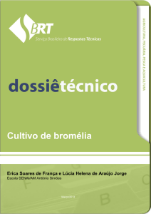 Cultivo de bromélia - Serviço Brasileiro de Respostas Técnicas
