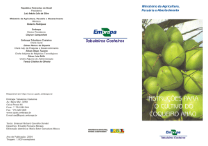 cultivo coqueiro anão-2004.cdr