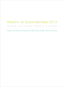 Relatório de Sustentabilidade 2013