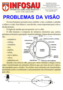 Problemas da Visão - Exército Brasileiro