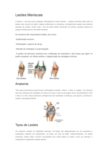 Lesões Meniscais - Dr. Ricardo Galotti