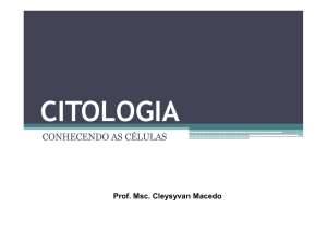 Citologia e Organelas - Professor Cleysyvan