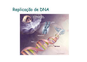 Replicação de DNA - IQ-USP
