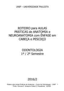 osteologia específica - Odontologia Sorocaba 2016