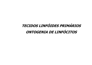 TECIDOS LINFÓIDES PRIMÁRIOS ONTOGENIA DE LINFÓCITOS