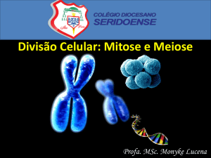 Divisão Celular: Mitose e Meiose