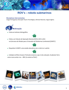 ROV`s – robots submarinos
