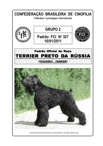 terrier pret terrier preto da rússia - Confederação Brasileira de Cinofilia
