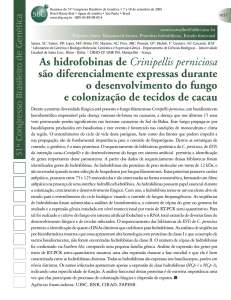 As hidrofobinas de Crinipellis perniciosa são diferencialmente