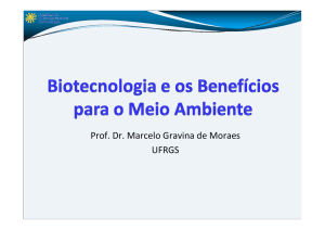 Prof. Dr. Marcelo Gravina de Moraes UFRGS