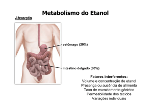 Metabolismo do Etanol - IQ-USP