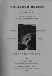 Anacardiáceas - Herbário "Barbosa Rodrigues"