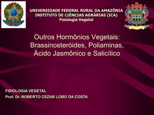 Outros Hormônios Vegetais Brassinosteroides, poliaminas, Acido