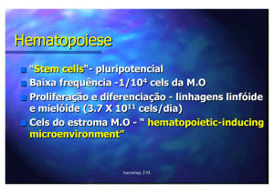 Hematopoiese - Alergia Imunopatologia