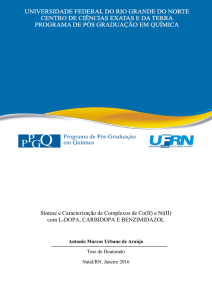 Síntese e Caracterização de Complexos de Co(II) e Ni(II