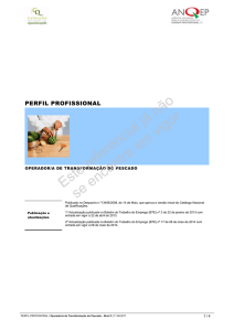 perfil profissional - Catálogo Nacional de Qualificações