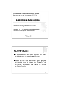 Capítulo 12 - Prof. Rodrigo Nobre Fernandez