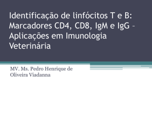 Identificação de linfócitos T e B
