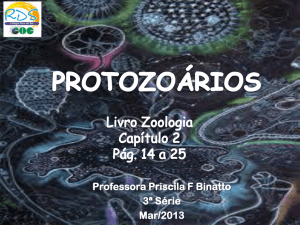 protozoarios - biologiards