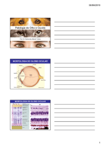 Patologia do Olho e Ouvido