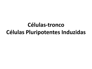 Células-tronco Células Pluripotentes Induzidas