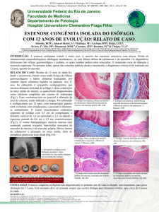 pdf - Departamento de Patologia da Faculdade de Medicina