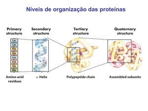 Níveis de organização das proteínas