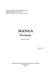 Manga Produção