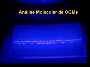 Análise Molecular de OGMs
