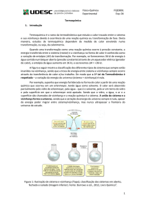 Físico-Química Experimental FQE0001 Exp. 04 1 Termoquímica 1
