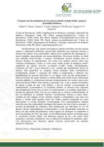 Variações morfo-anatômicas de Encyclia oncidioides (Lindl.) Schltr