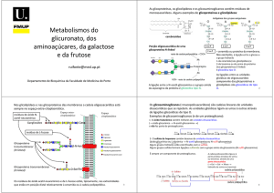 Metabolismos do glicuronato, dos aminoaçúcares, da galactose e
